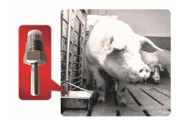 閥門(mén)設(shè)計(jì)元素對(duì)于維持閥門(mén)的生命周期和功能至關(guān)重要