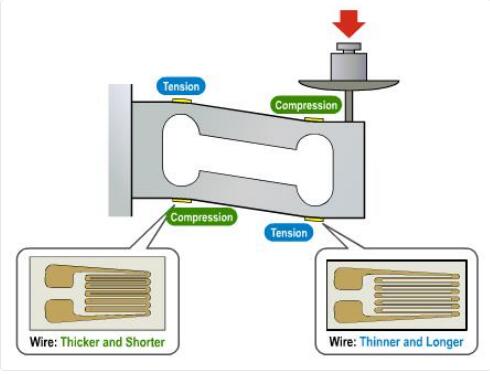 關(guān)于上海自動(dòng)化儀表有限公司的稱(chēng)重傳感器網(wǎng)絡(luò)研討會(huì)回顧