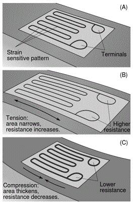 重點解說關(guān)于傳感器類型的全部基礎(chǔ)內(nèi)容